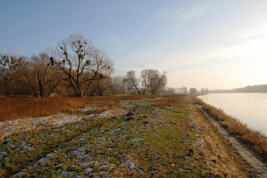 An der Elbe by mgseewald