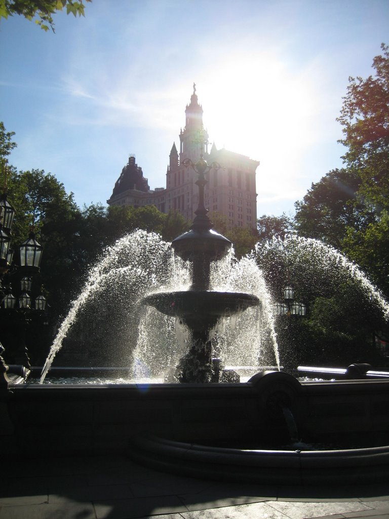 New York City Hall by Luc Valencia