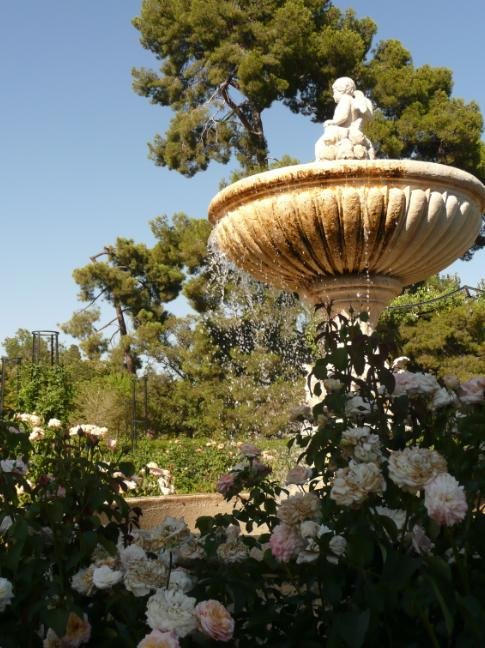 Parque de Buen Retiro, verano 2008 by flor_de_loto