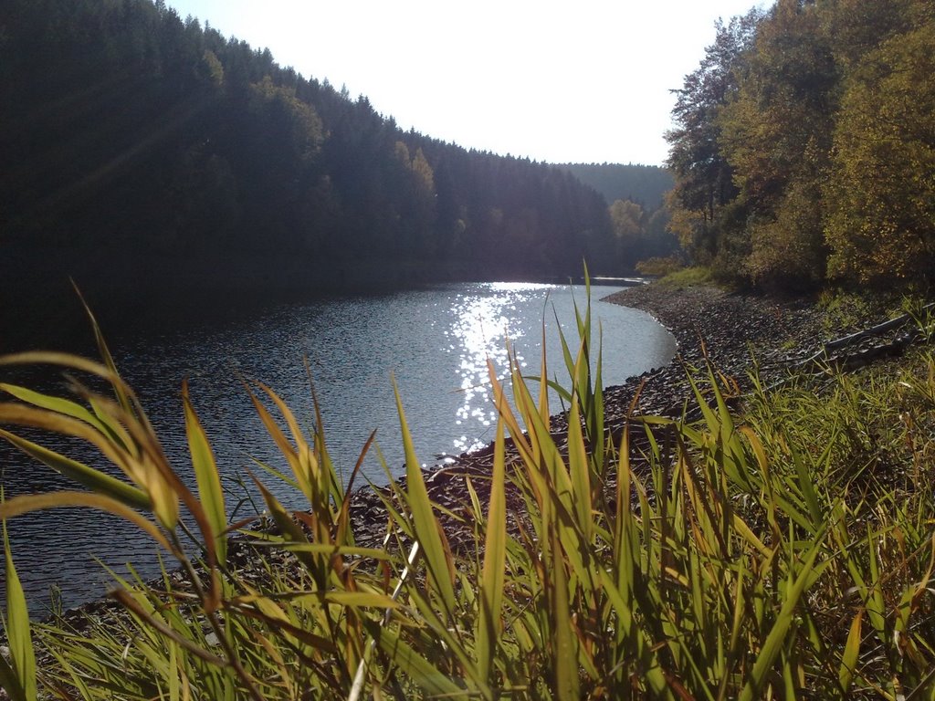 Blick zum Zillerbachtal by serbancantea