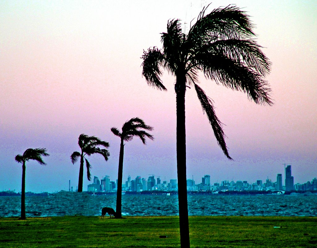 Aspettando la luna a Buenos Aires (Foto con trampa para descubrir) by Mauricia Sala