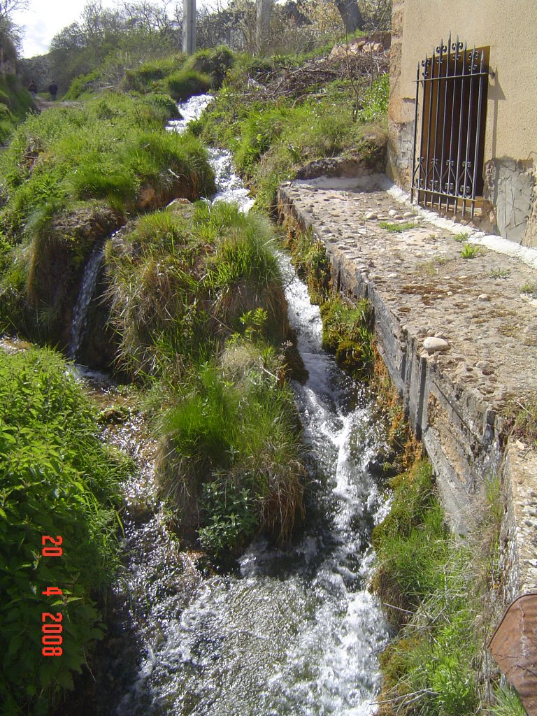 09593 Aguas Cándidas, Burgos, Spain by tatisa