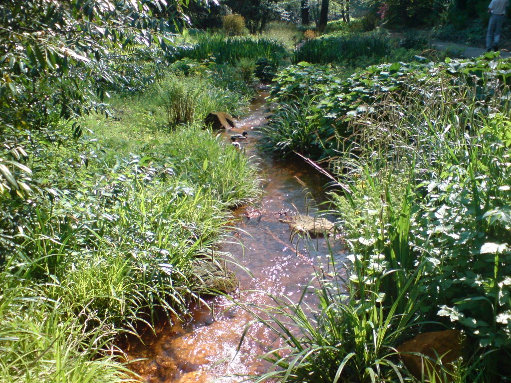 Roter Bach (Lokalzeit Wetterbild) by A rSchü