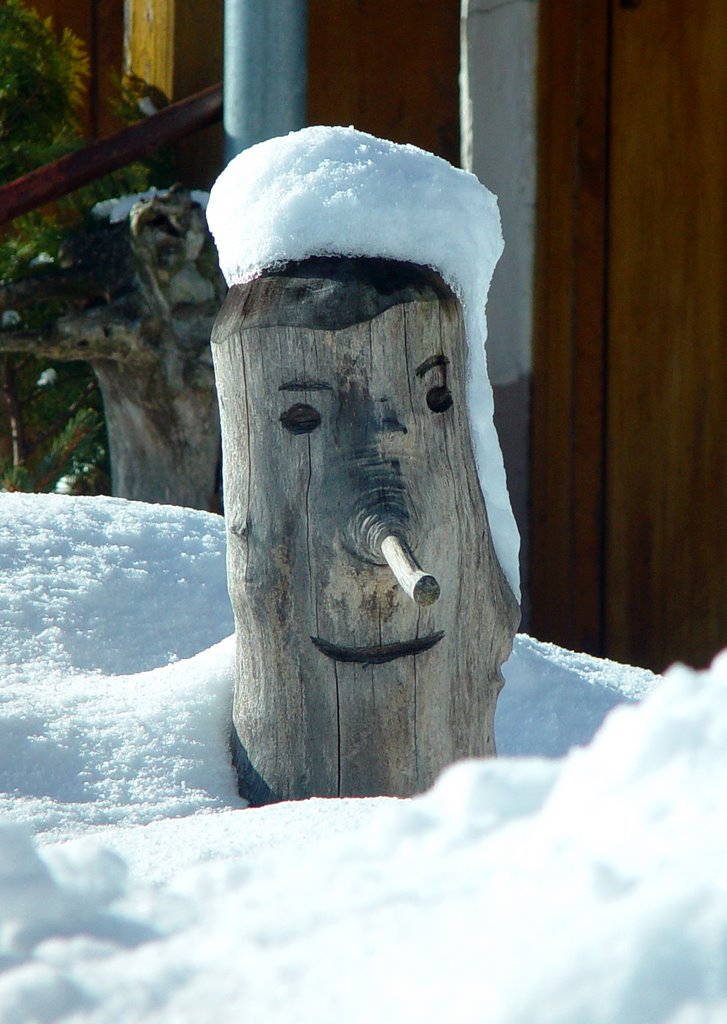 Holzfigur im Schnee by Frank Zander