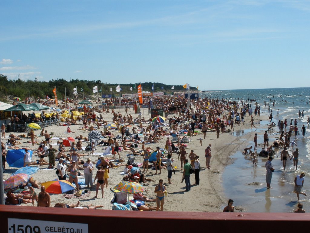 Palanga2008 by biovital