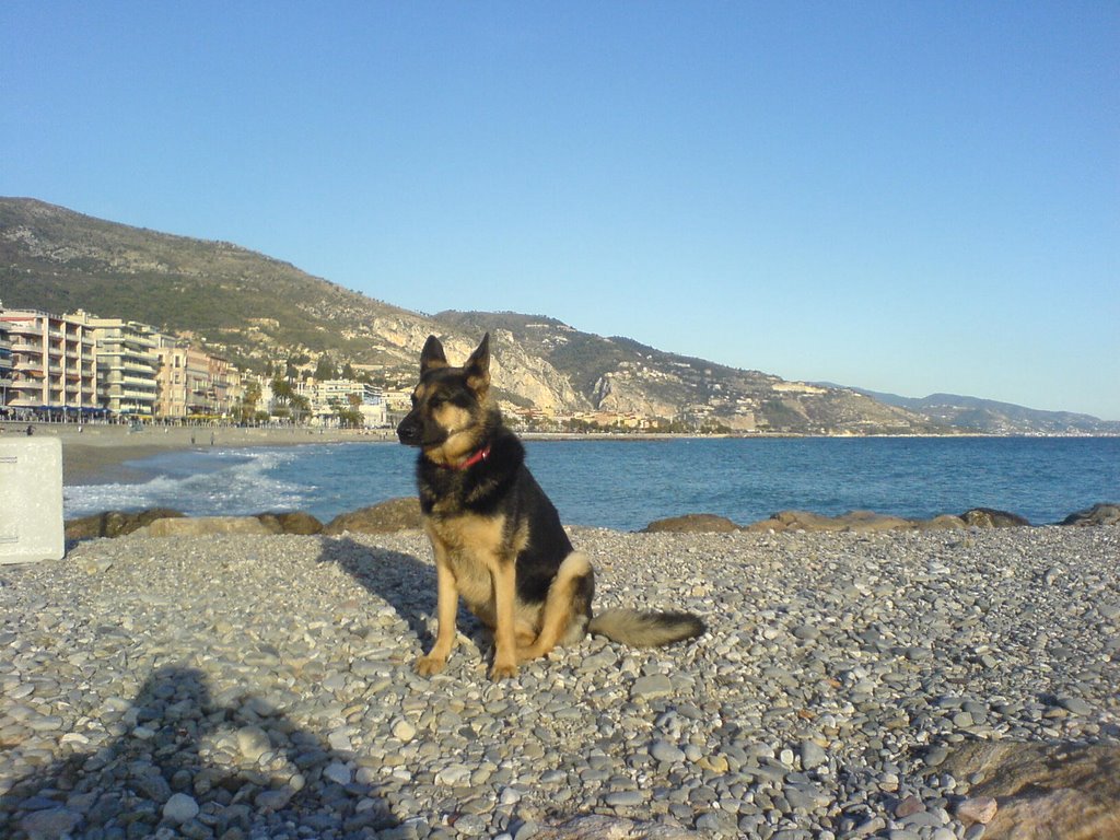 Menton janvier 2008 by NAVION ROBERT