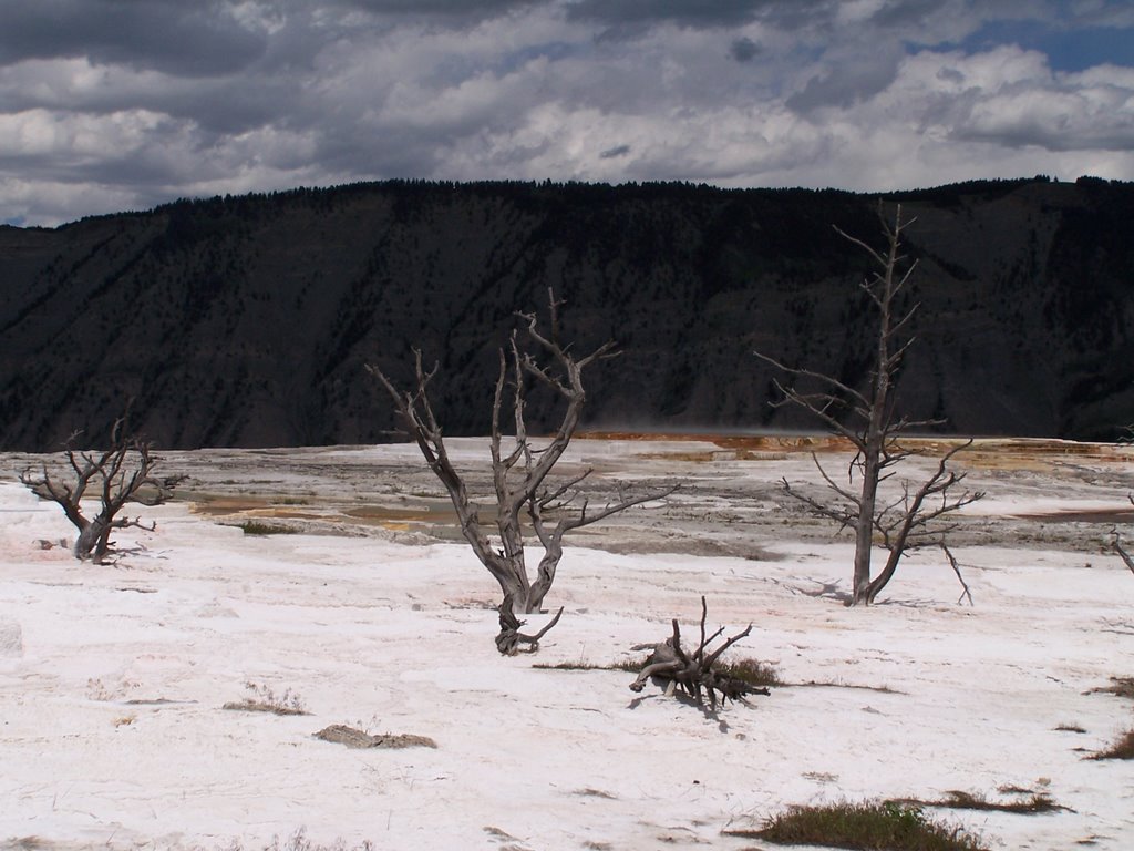 Mammoth Hot Spring by dolarts