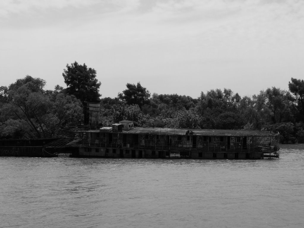 Barco hundido en el Rio Lujan by Bernigonzalez