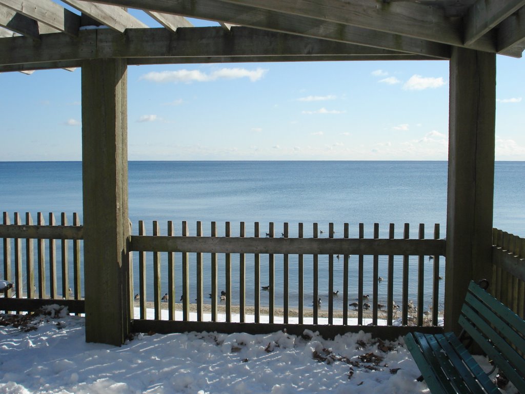 Look out point to lake Ontario by Aris Patelos