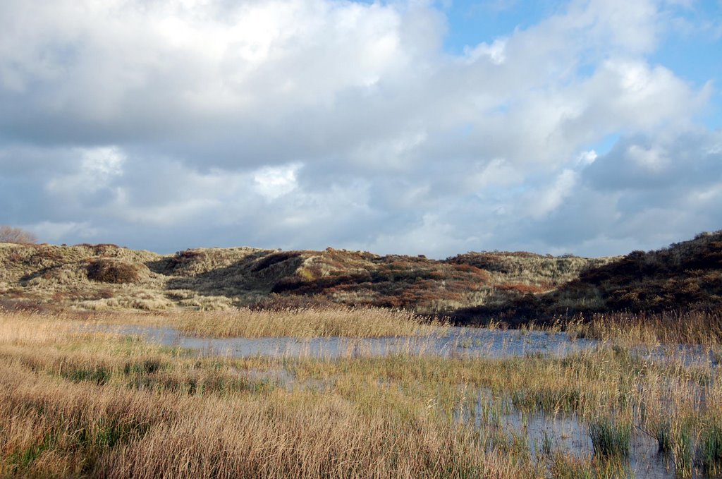 Another view of the beautiful dunes by Lecleire Jacques