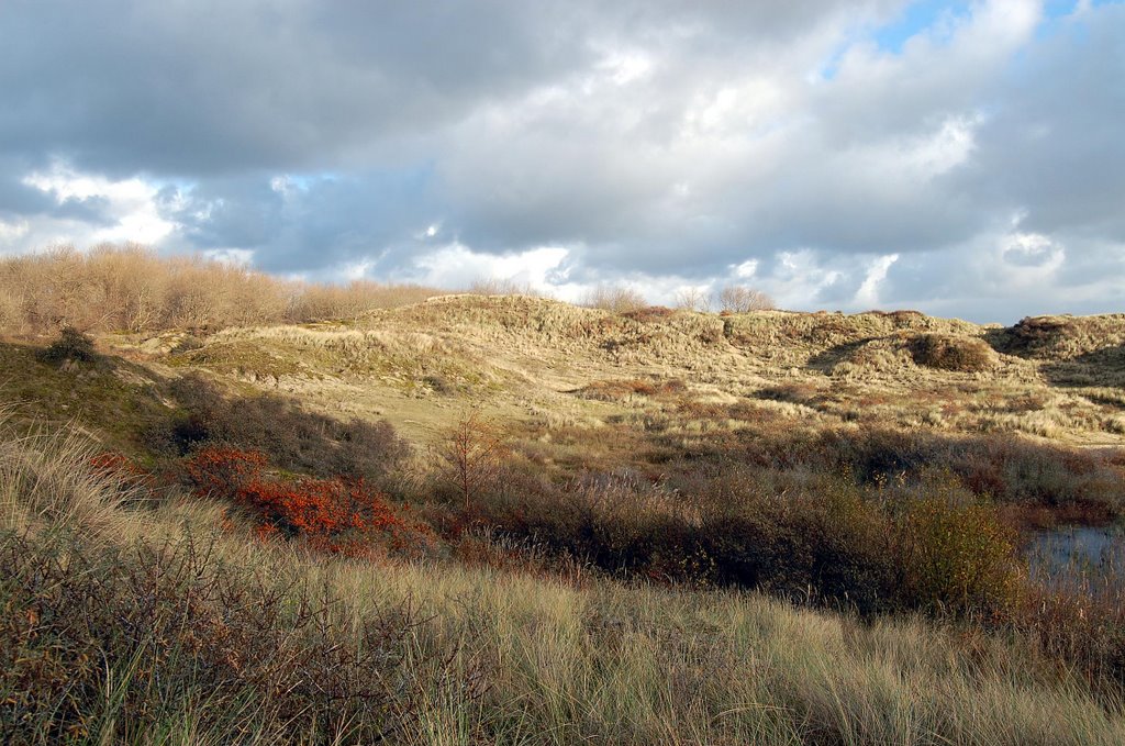 The Dunes by Lecleire Jacques