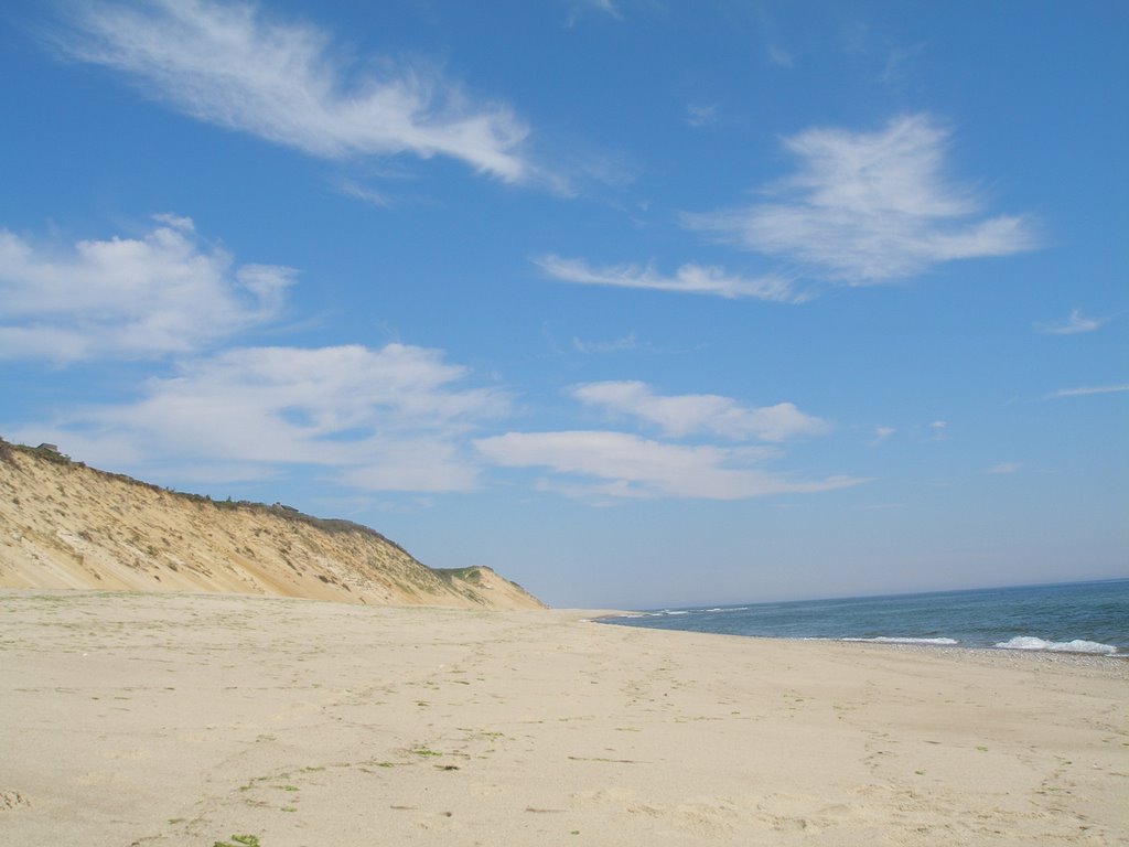 Cahoon Hollow Beach by Diana Senyo