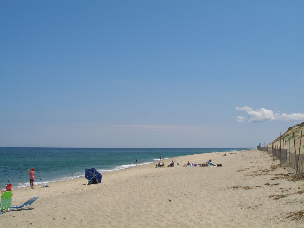 Ballston Beach by Diana Senyo