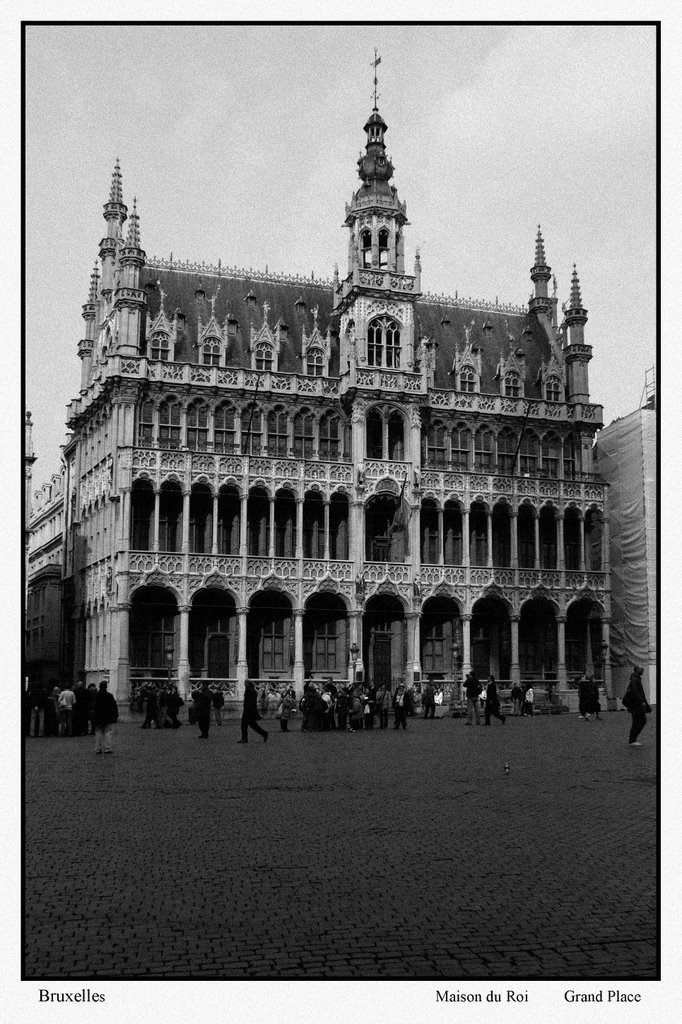 Maison du Roi (grand place) by David Bennasar