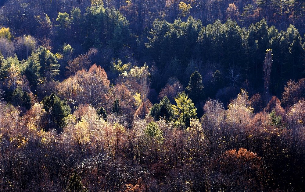 Last autumn day by Apu Jeno