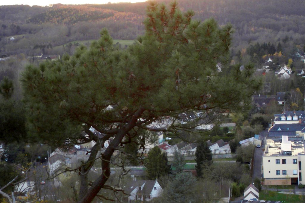 Cheveuse, vue du château de la Madeleine by ptitannick