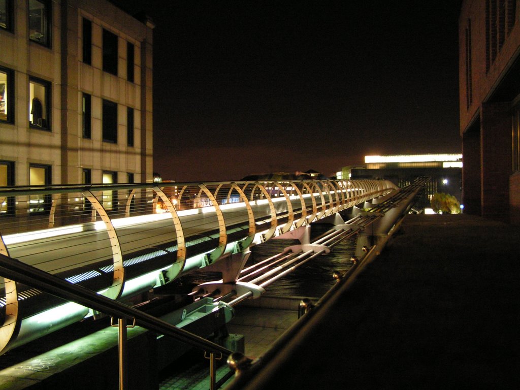 Millennium Bridge by janulienkaaa