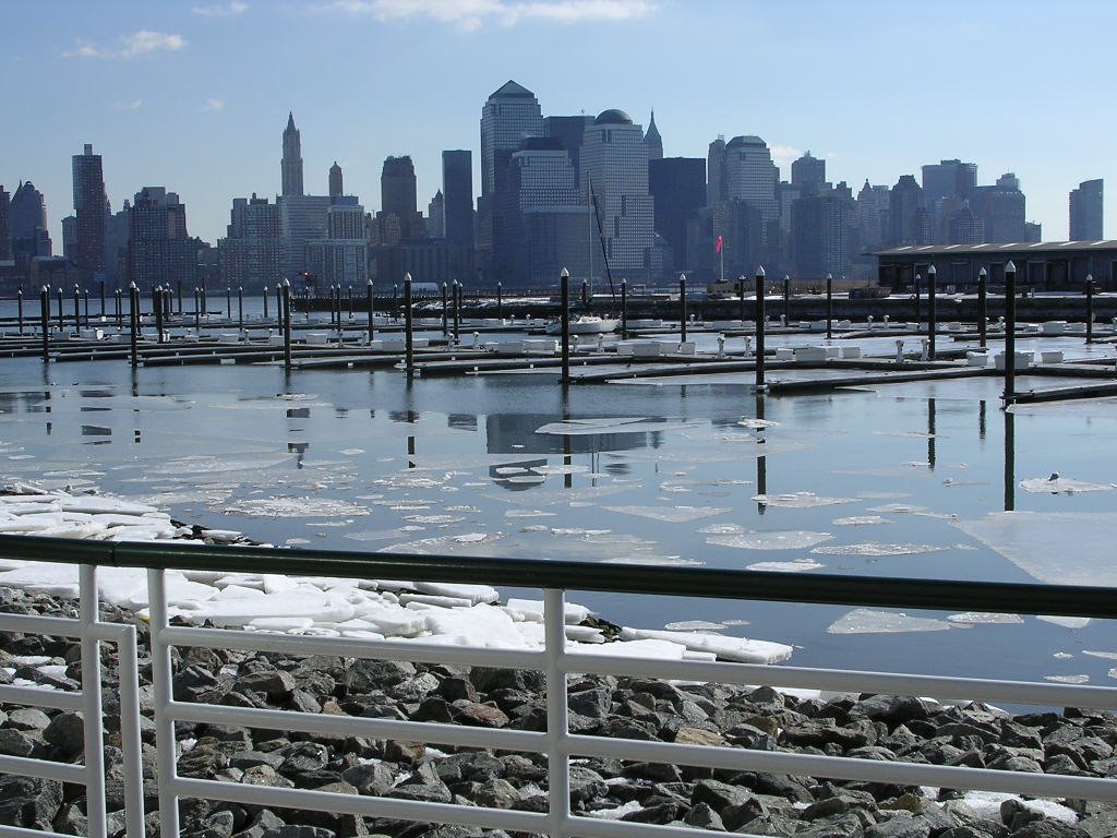 From Jersey City by Peter Rabbit little …