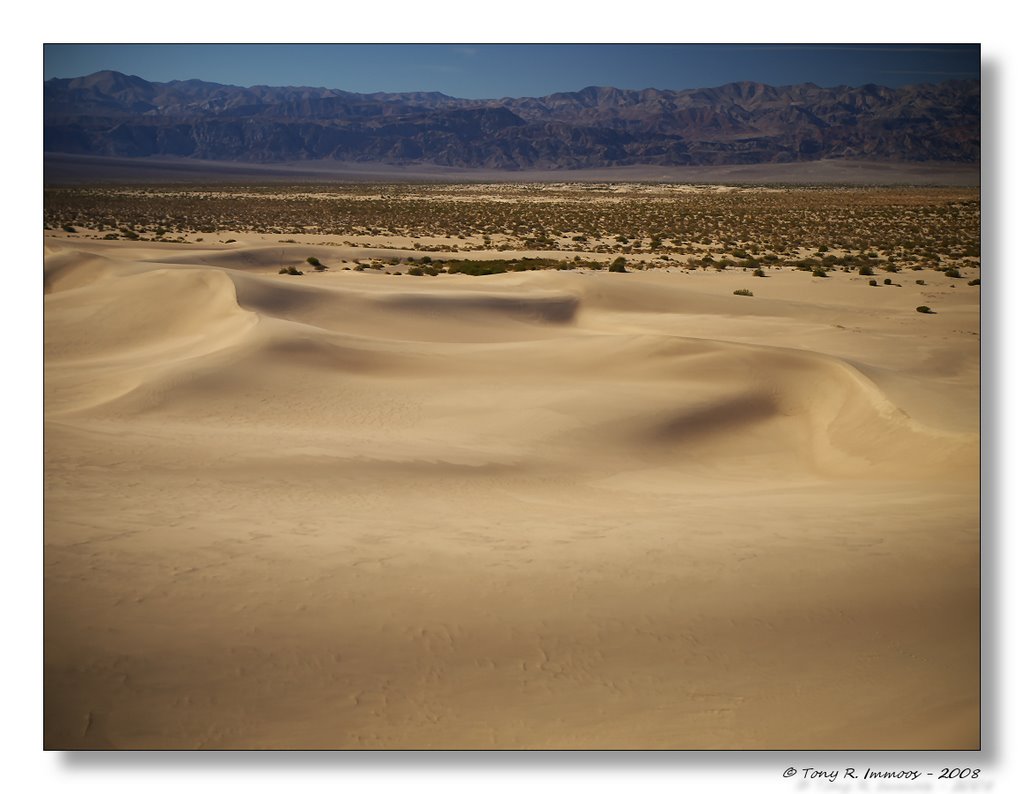 Death Valley Dunes by Tony Immoos