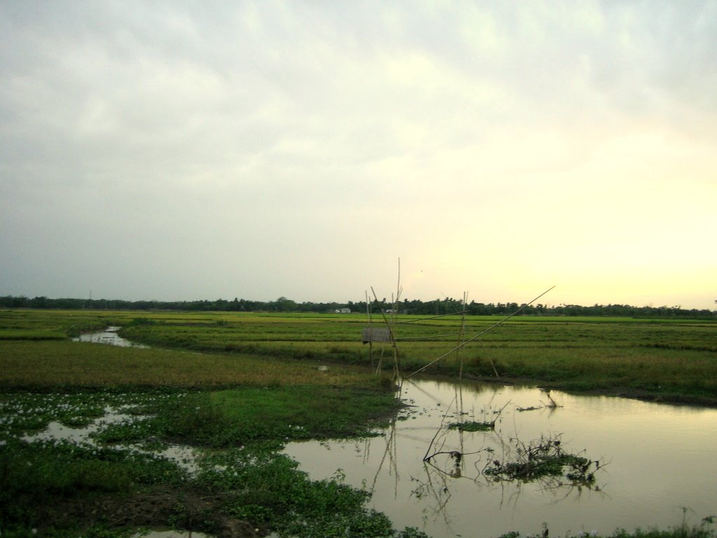 Lake near Mosque, Tonki, Tonki Village, B.Baria, Bangladesh by Hossain Khan