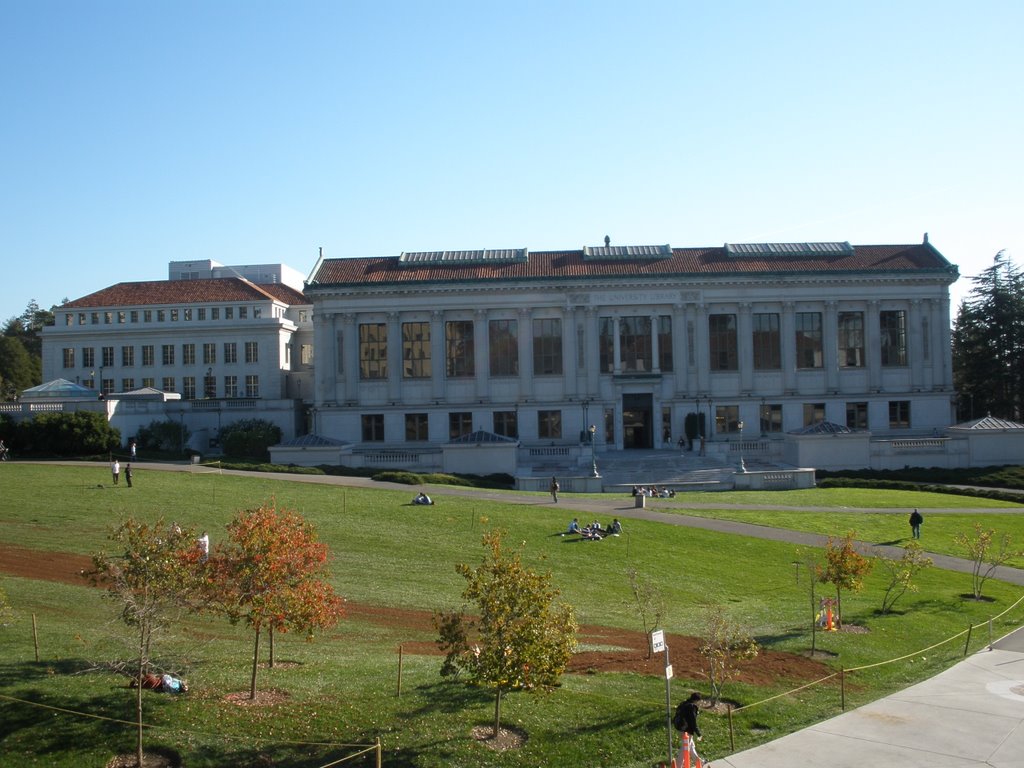 Doe library by s.h.a.w