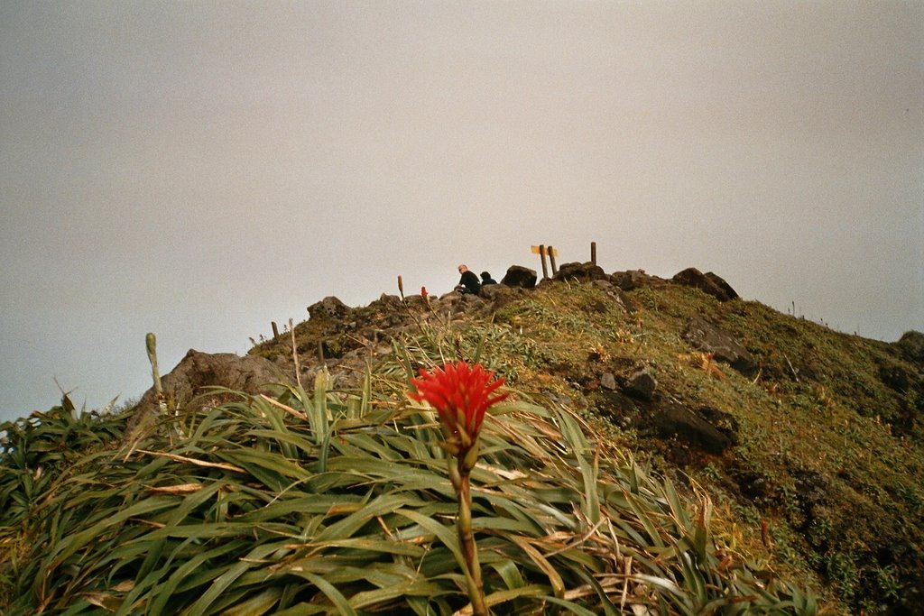 Sommet de la Soufrière by Silvio Guindani