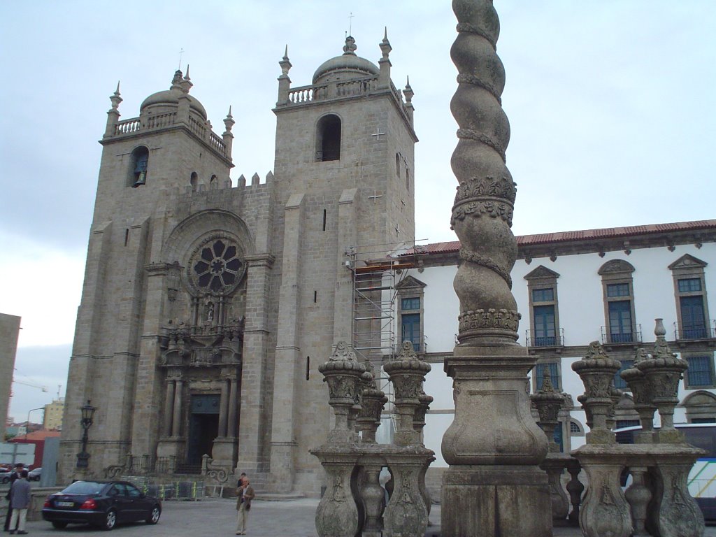 La cathedrale by louis-marie gaudemet