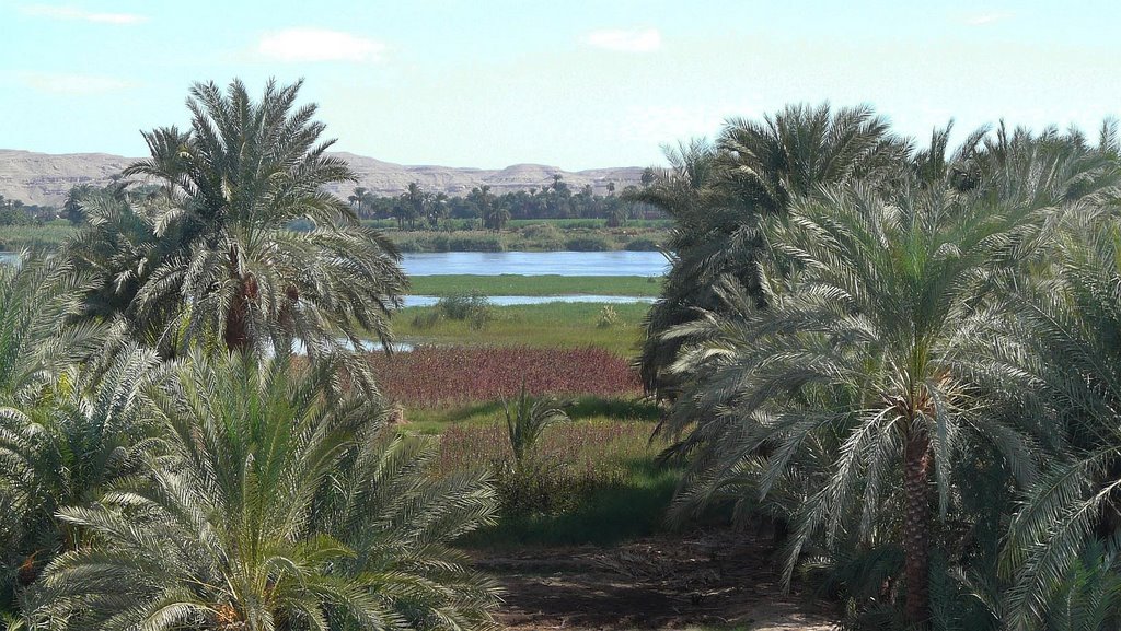 Nile landscape / Nillandschaft by www.stephangrund.de