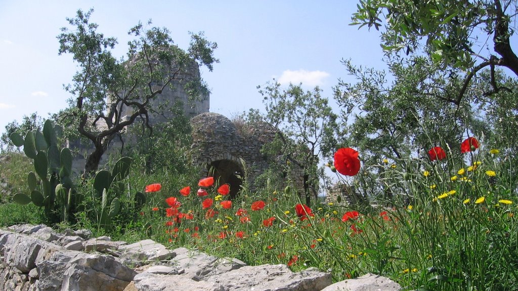 Balsignano San Felice by Giuseppe Giove