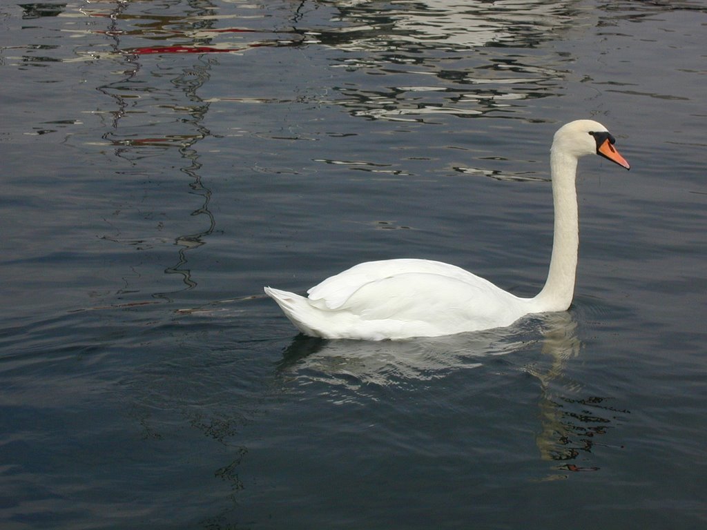 Tour en bateau le 19 septembre 2002 (2) by Christian Moret