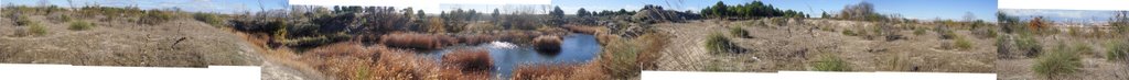 Laguna de patos de Perales del Río by Bernardo Zalisñak