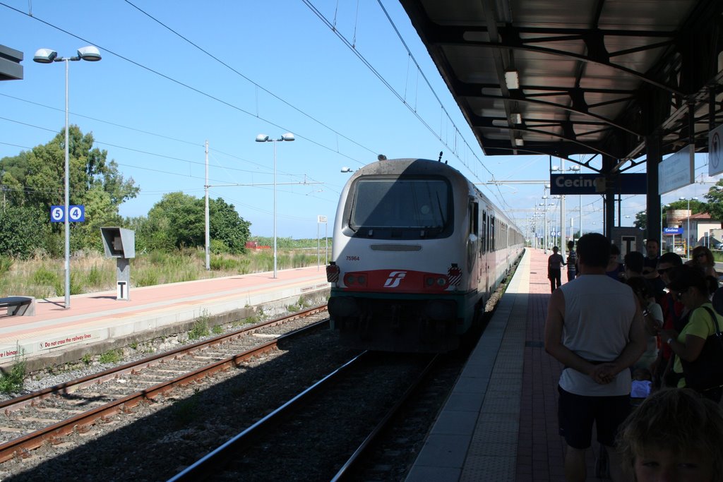 Train at railstation Cecina by karel(tje)