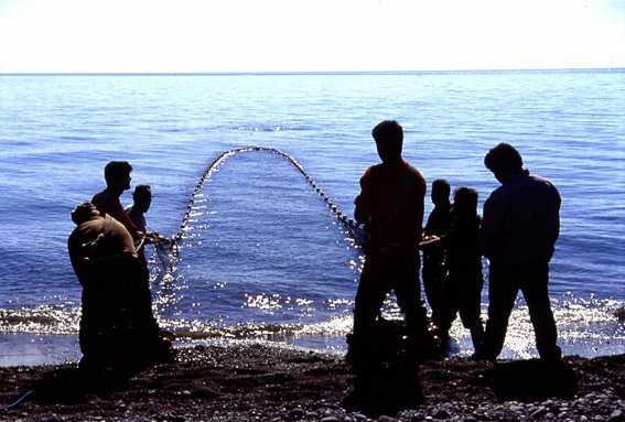 L'oro del mare a Trebisacce - foto Giuseppe D'Alba by giuseppe51