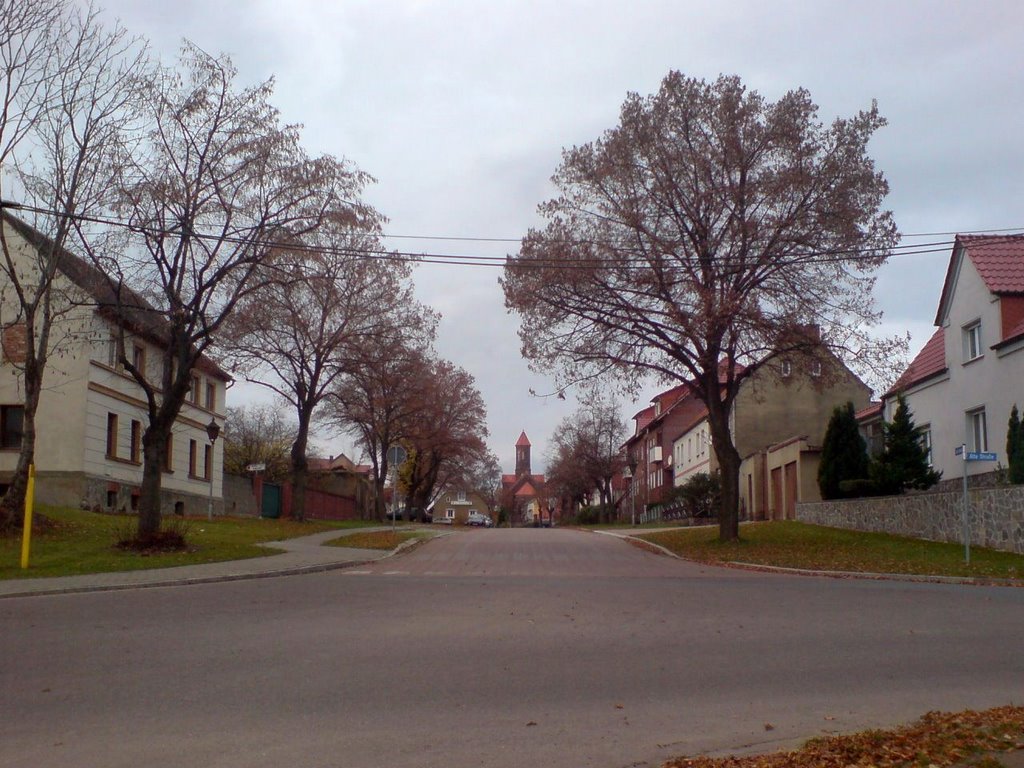 Dorfstraße Richtung Kirche by goldmund