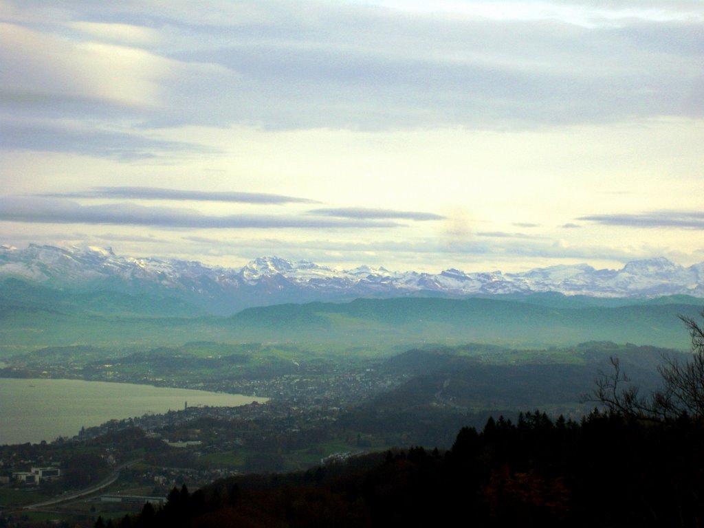 Blick vom Üetliberg by börlinpixel