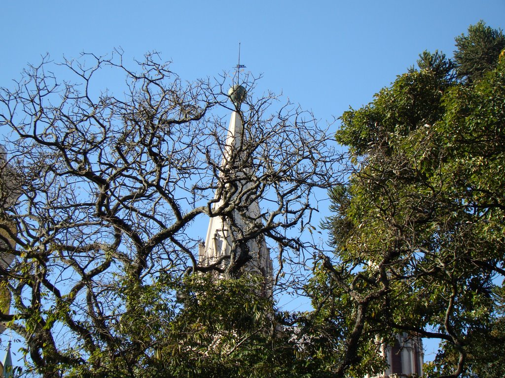 Catedral by Augusto Ferreira