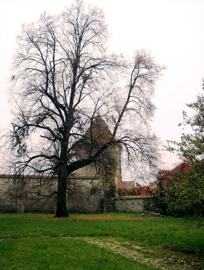 Cristian - biserica cetate / fortified church / kirchenburg - 3297 by dbotez