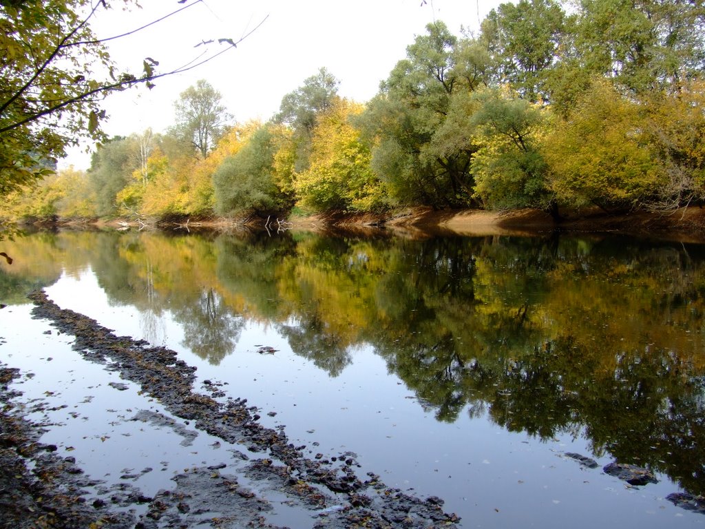 Reflet sur la Dordogne by reine