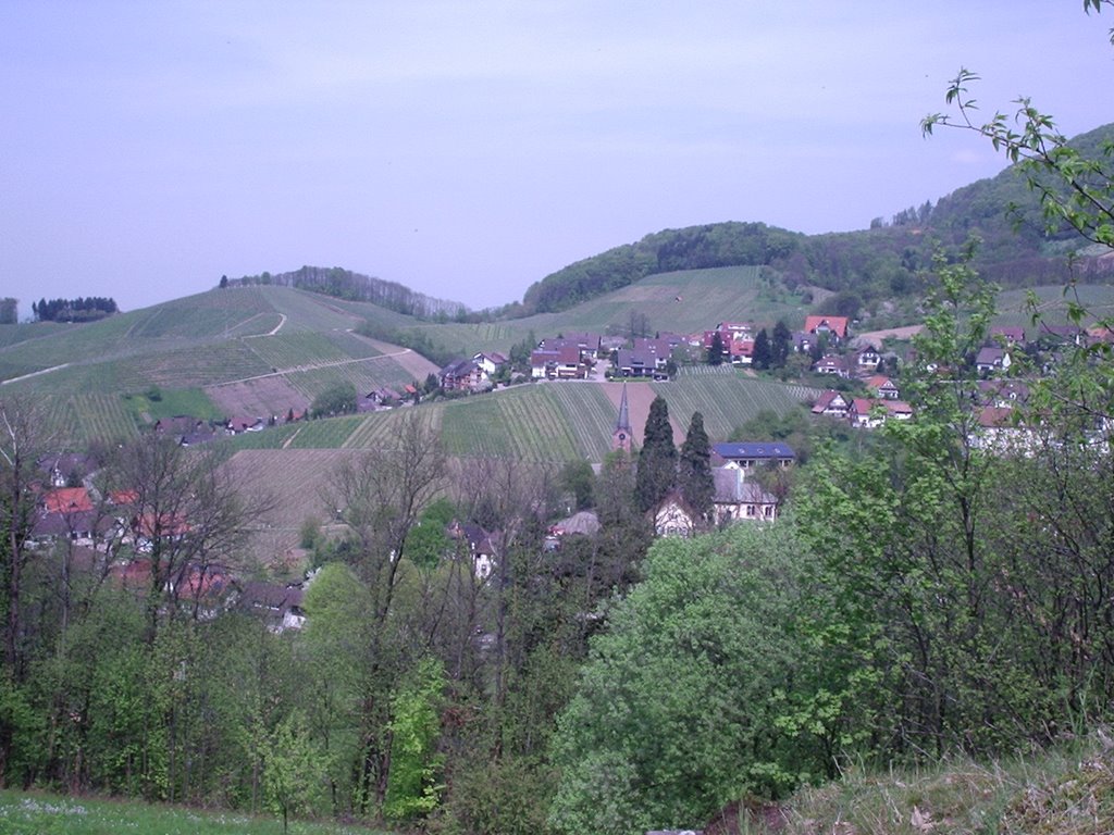 Sasbachwalden by gerdb