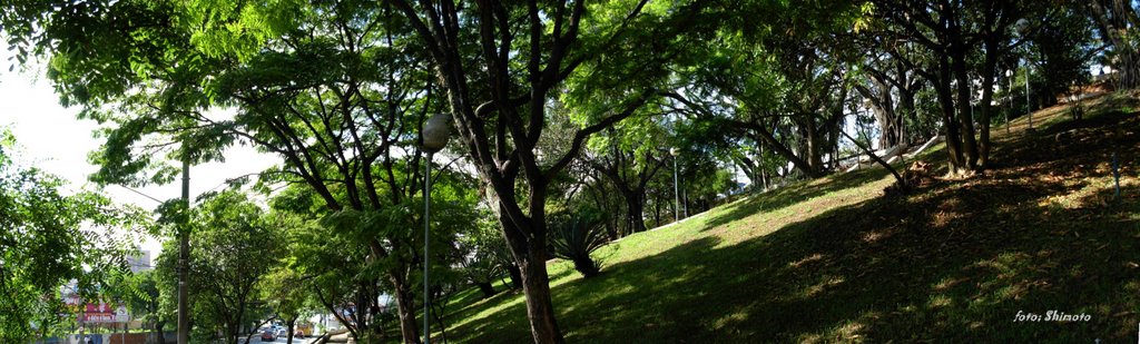 Explanada Monte Castelo, mais conhecido como Escadão. by joao batista shimoto