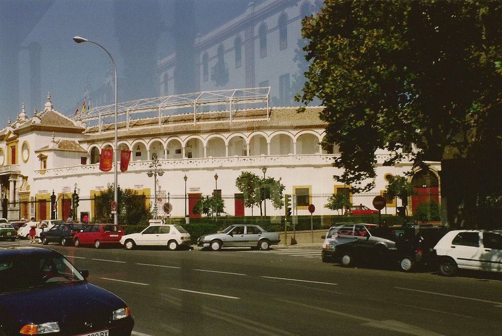 La Real Maestranza de Sevilla by Carmen Peña Medina