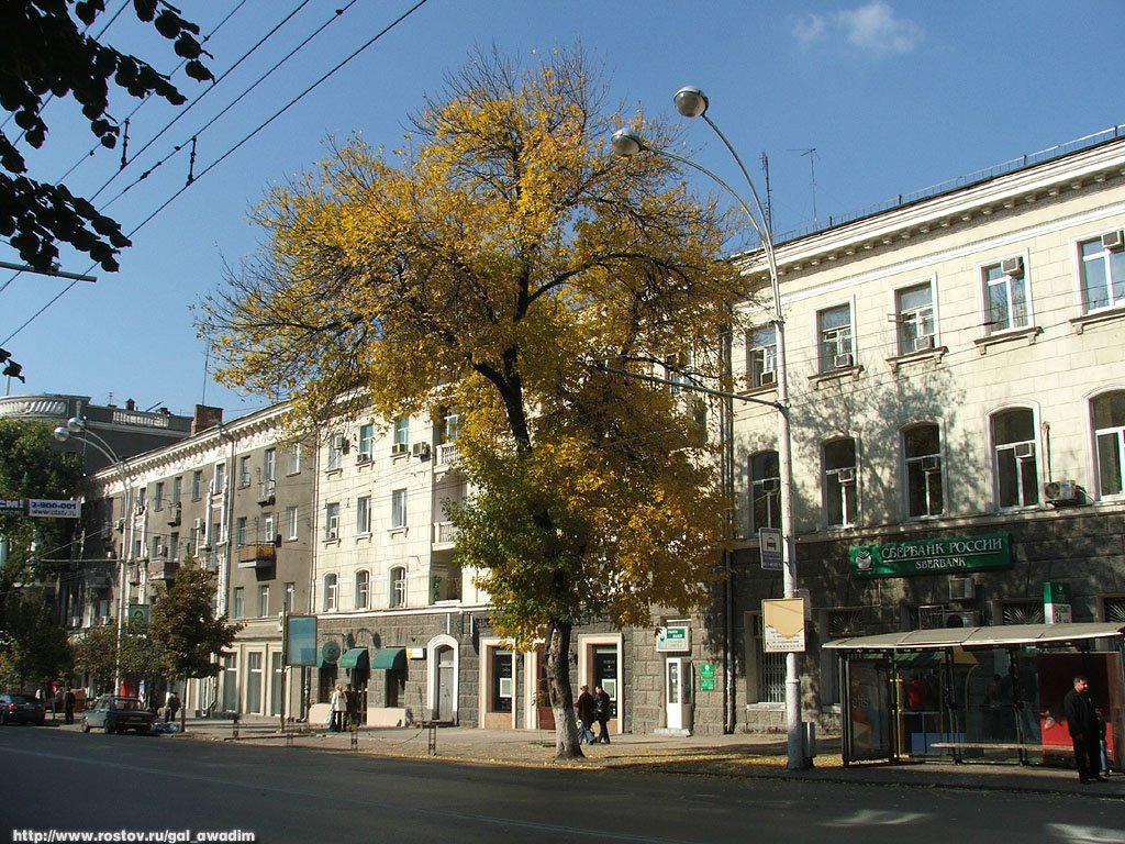 Bolshaya Sadovaya street by Vadim Anokhin