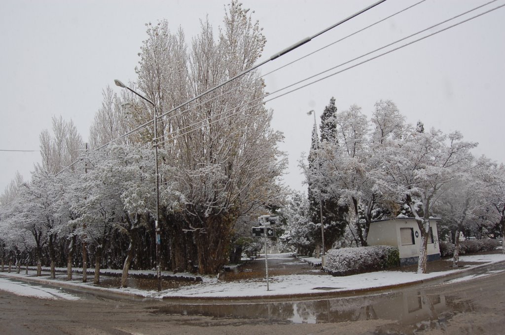 NIEVE EN SARMIENTO by gustavo_faraon