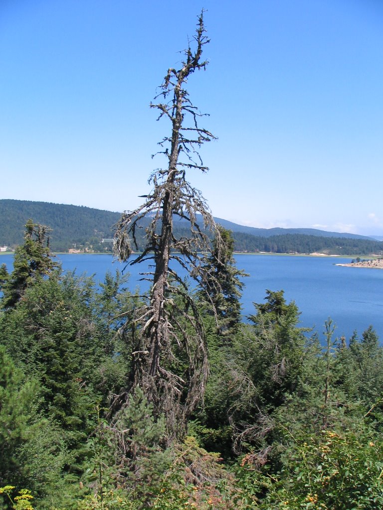 Abant lake - bolu by emkum