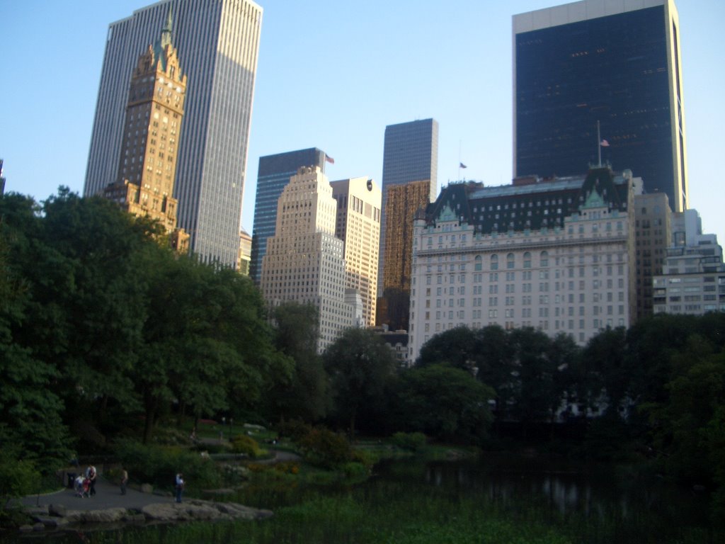 Central Park View by Declan Mc Naboe