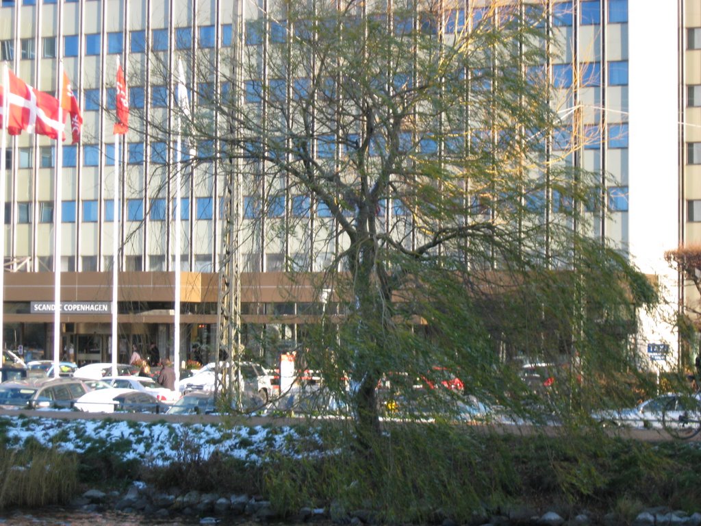 Scandic Hotel seen behind not so barren tree by krungadoren