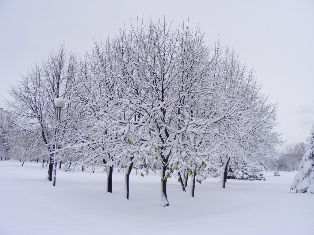 Early winter by Morkovica (D.Grigorova)