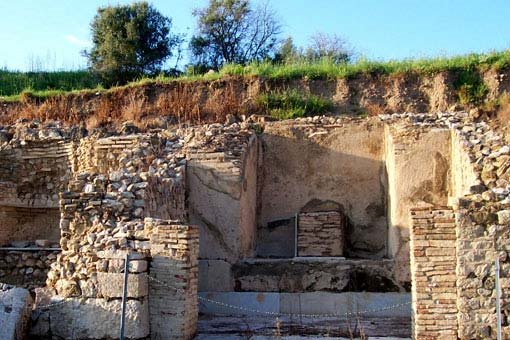 Parco Archeologico Roselle by fabrizioscaia