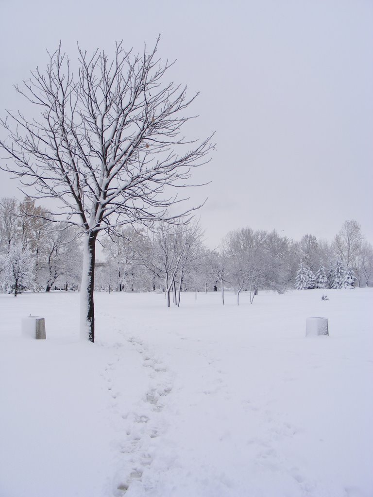 Studentski grad, Sofia, Bulgaria by Morkovica (D.Grigoro…