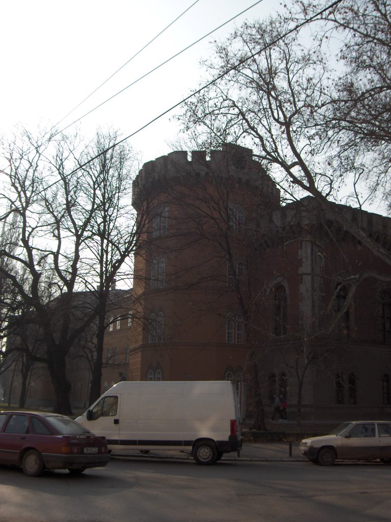 Huniade Casle (clock tower) by Caius Brindescu